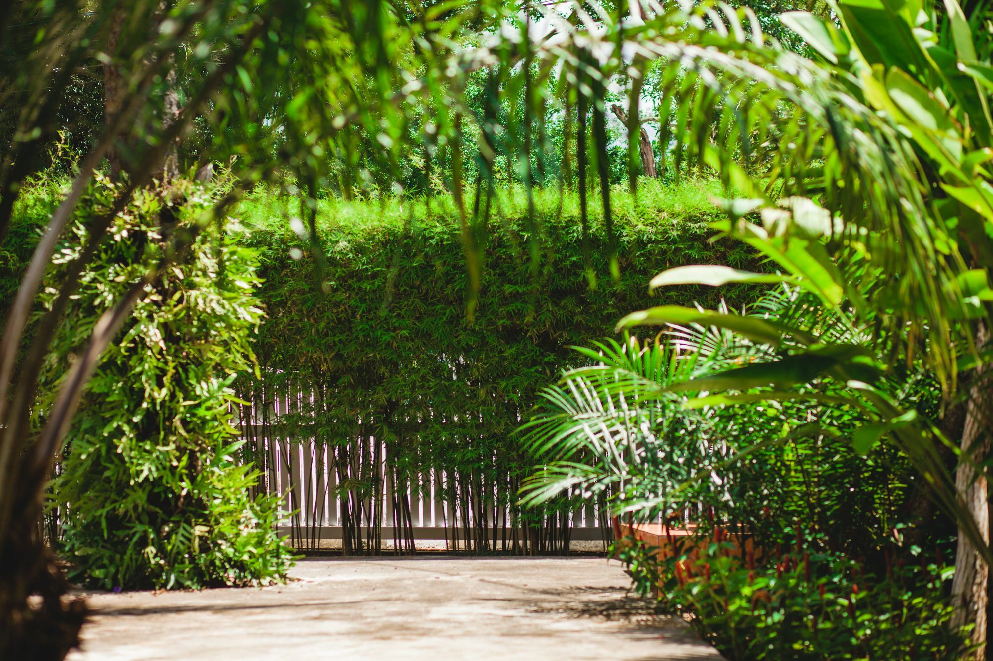 Villa Laguna Phuket Bagian luar foto